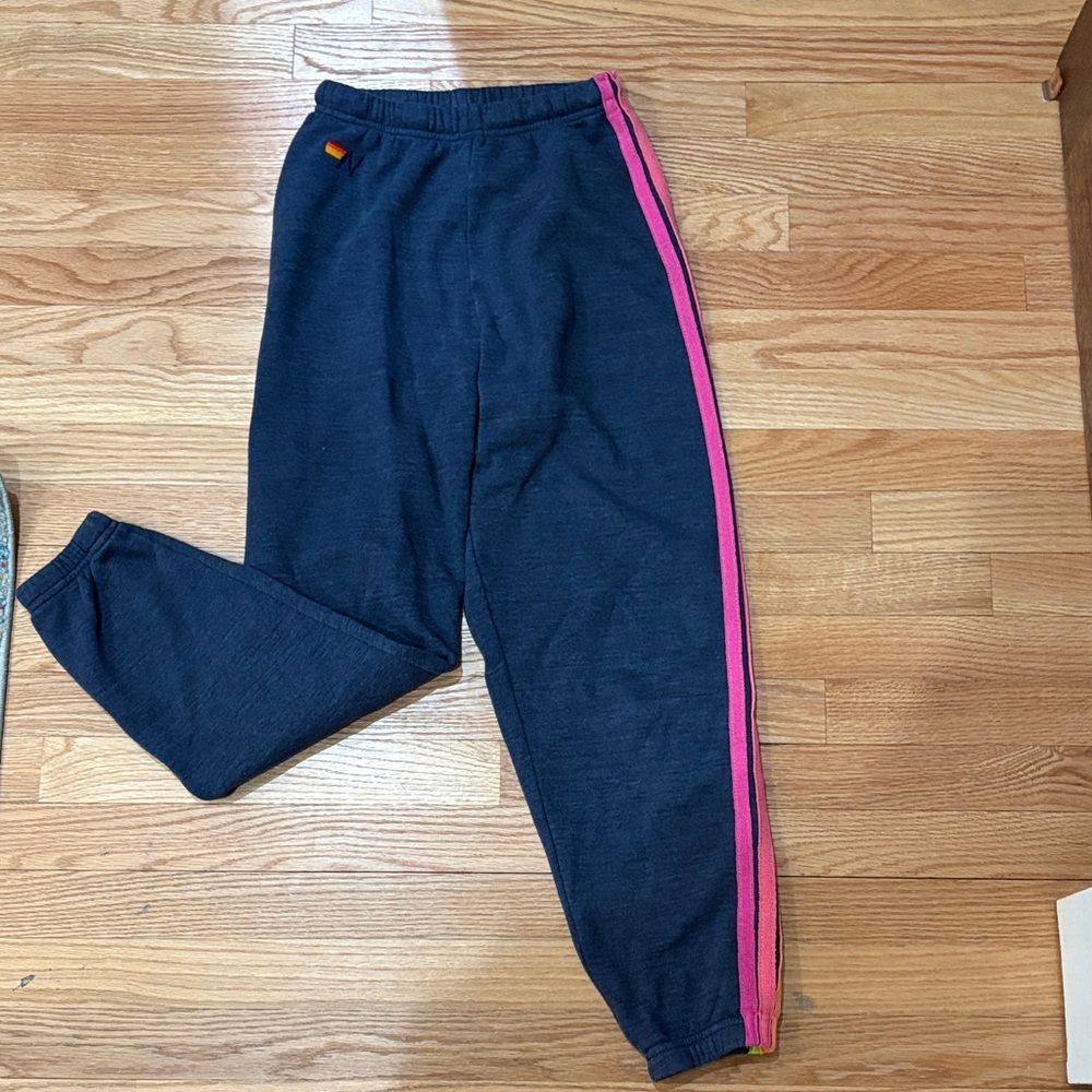 Aviator Nation navy blue sweatpants with neon stripes